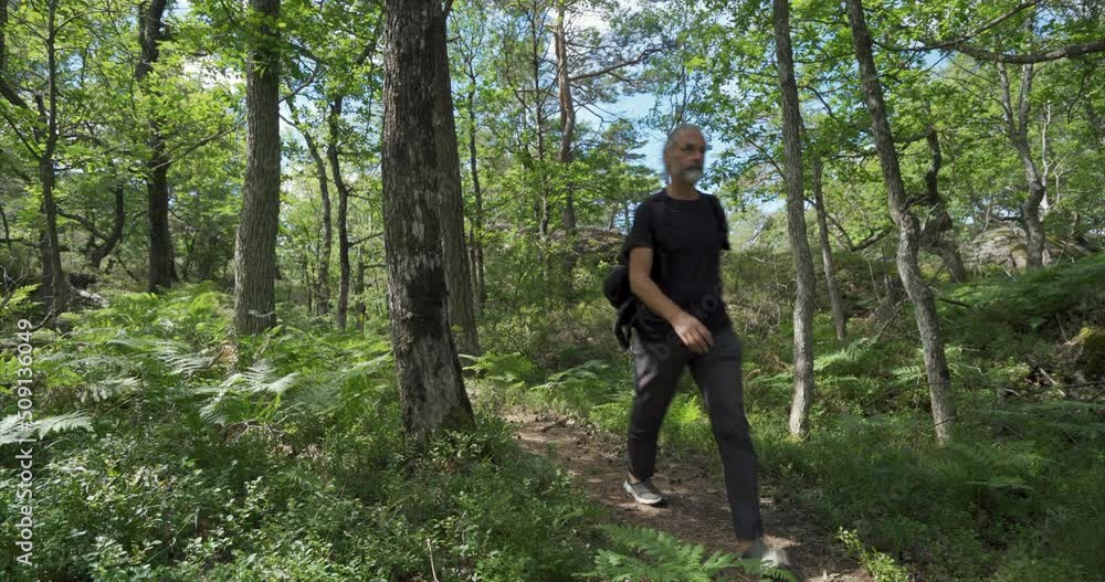 Grey haired man, photographer, hiking through forrest, frontside Grey haired man, photographer, hiking through forrest, frontside