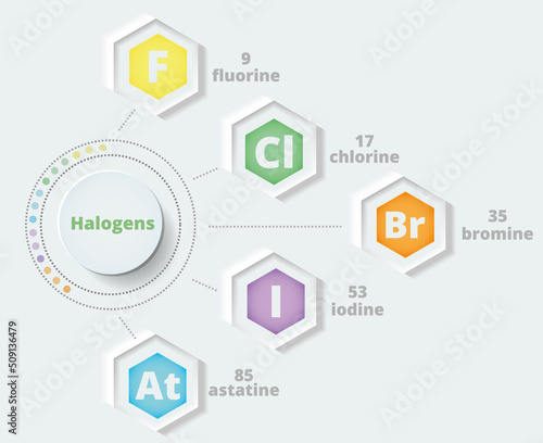 Halogens. 7A group of the periodic table. Vector illustration in neomorphism style. Chemical infographics. Poster. Fluorine, chlorine, bromine, iodine, astatine.