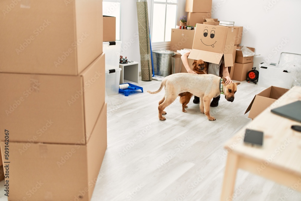 Fototapeta premium Young hispanic woman wearing funny cardboard on head playing with dogs at new home