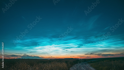 4K Night Starry Sky With Glowing Stars Above Countryside Landscape With Country Road And Wheat Fields. Noctilucent Clouds Above Rural Wheat Field In Summer. Summertime. TimeLapse .
