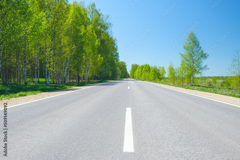 Summer asphalt road with trees on a sunny day, travel or vacation concept background