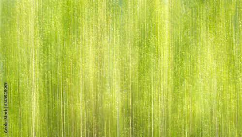 Abstract motion blur spring summer green forest sunny texture background