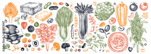 Vegan food illustrations set. Healthy food illustrations collection. Hand drawn vegan meals and ingredients for menu, recipe, packaging design. Vegan food, nuts, seeds, fruits, veggies, tofu sketches