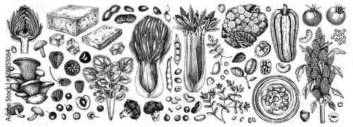 Print op canvas Vegan food illustrations set