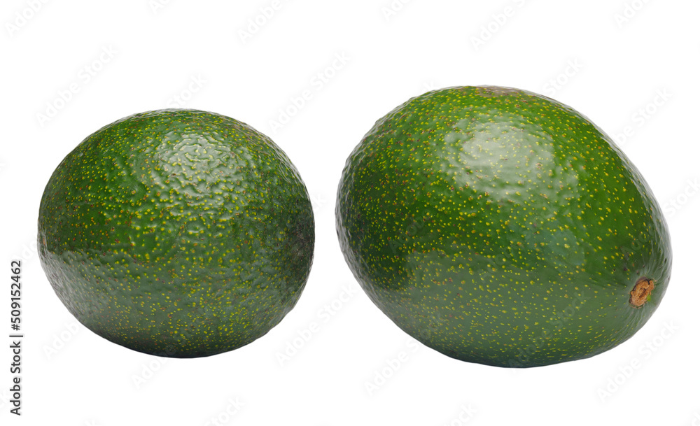Two green round avocado fruits (Persea americana) isolated on white background Two green round avocado fruits (Persea americana) isolated on white background