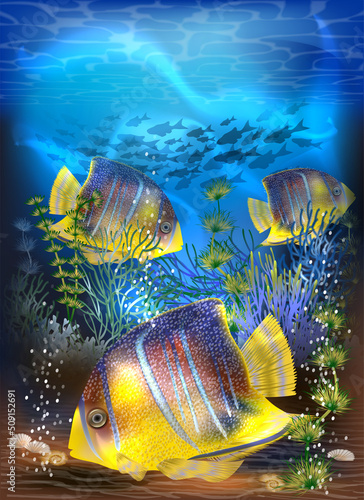 Underwater tropical card with Juvenile Queen angelfish, vector illustration