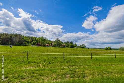 Beautiful landscape view on private pasture for livestock against blue sky with white clouds. Sweden.