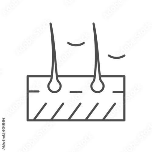Dandruff scheme line outline icon