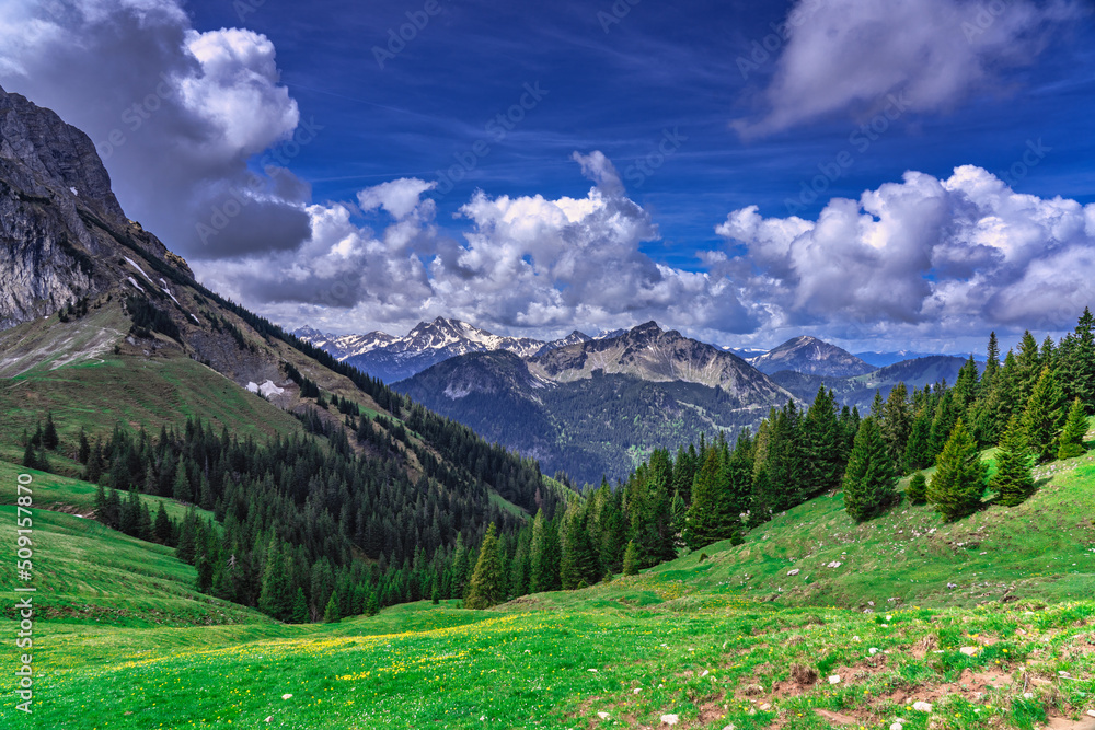 Allgäuer Alpen Bergpanorama