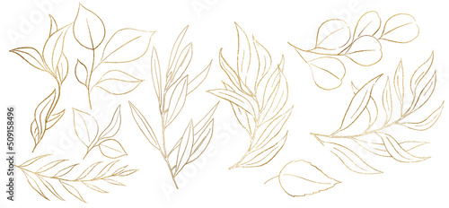 Fotografija Golden Outlines botanical leaves illustration isolated