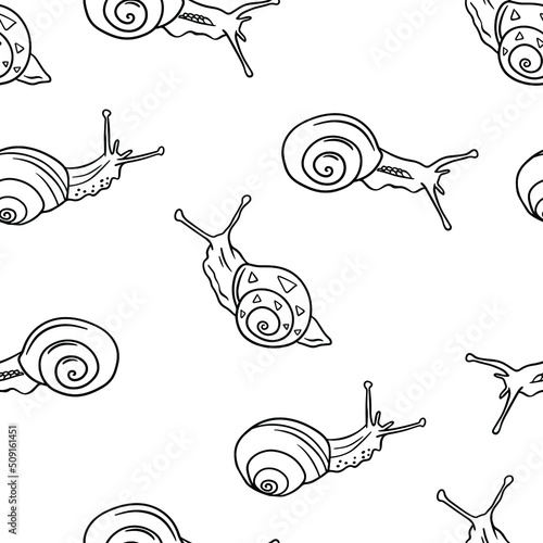 Black and white snail pattern. Snail pattern for fabric design.