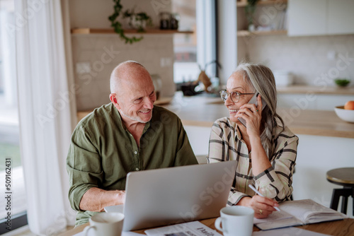 Happy senior couple calculate expenses or planning budget together at home.