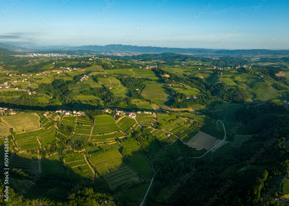 The landscape of vine region Goriska Brda with cultivated vineyards and the town Gorizia in the background, Slovenia - obrazy, fototapety, plakaty 