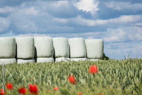Round hay bales in plastic wrap cover stacked outdoors