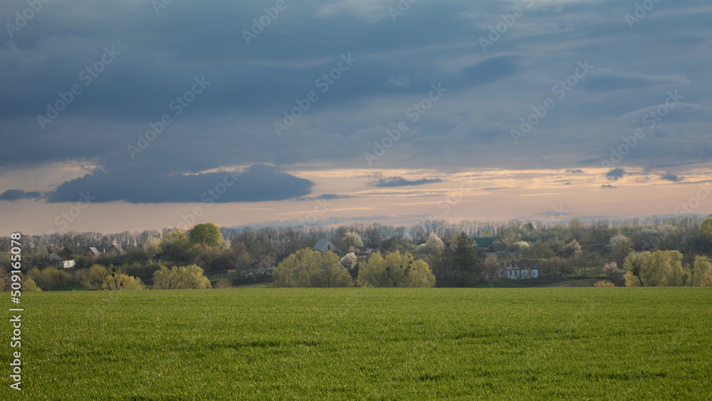 Evening rural landscape