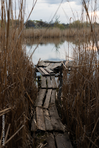 Fishing pier on a lake overgrown with reeds