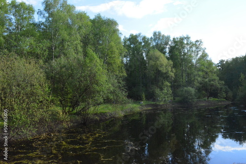 one of the summer days in Moscow