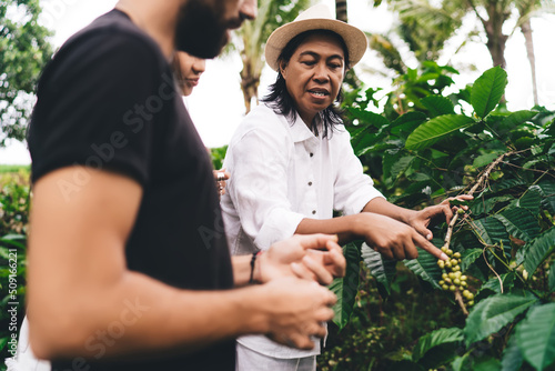Fototapeta Balinese male owner of agriculture business explaining concept of caffeine growi