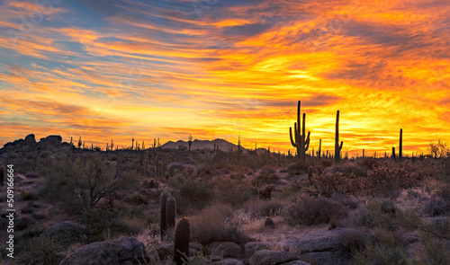 Desert Sunrise Landscape At Brown's Ranch In North Scottsdale Arizona