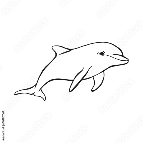 Dolphin. Hand drawn illustration converted to vector. Vector with animal underwater.