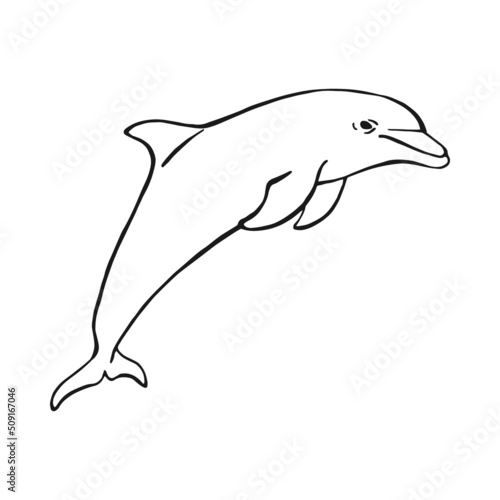 Hand drawn dolphin. Vector illustration in sketch style. Jumping dolphin isolated on white background.