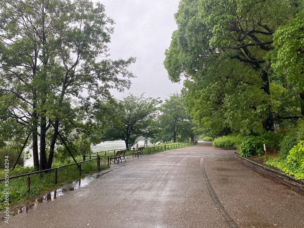 Rainy path at the park of Ueno Tokyo Japan, summer breeze rainy season year 2022 June 6th
