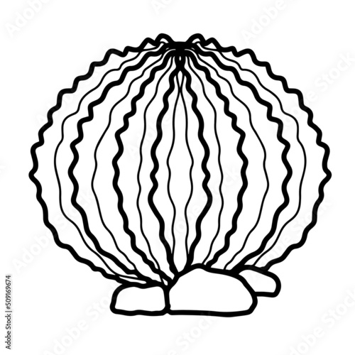 Digital illustration of cactus