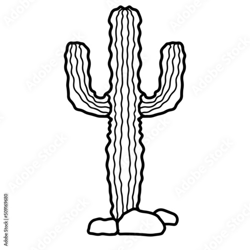 Digital illustration of cactus