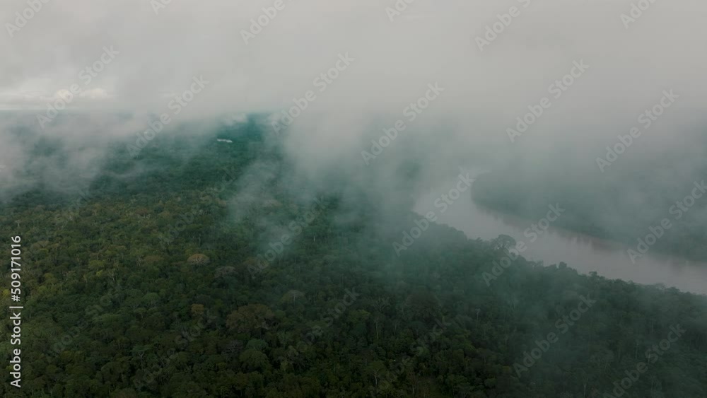 Fly Over Lush Rainforest Landscape of The Amazon - aerial shot Fly Over Lush Rainforest Landscape of The Amazon - aerial shot