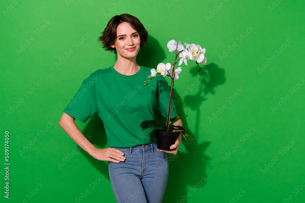 Photo of pretty shiny young lady dressed casual t-shirt holding office plant empty space isolated green color background Photo of pretty shiny young lady dressed casual t-shirt holding office plant empty space isolated green color background