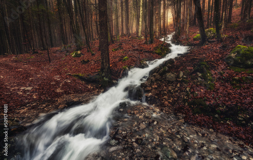 Stream and waterfall in a murky autumn forest
