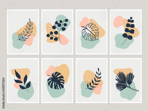 Set of botanical wall art abstract vector. Boho art print set. Gallery decor poster, pastel colors for bohemian interior © Irina