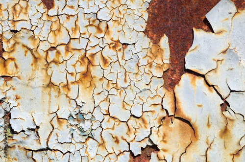 Old peeling paint is crumbling from a rusty metal wall or fence. Texture with rust.