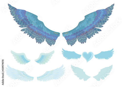ブルーの羽根のセット