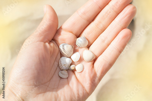 White small shells on an open palm against a background of yellow sand