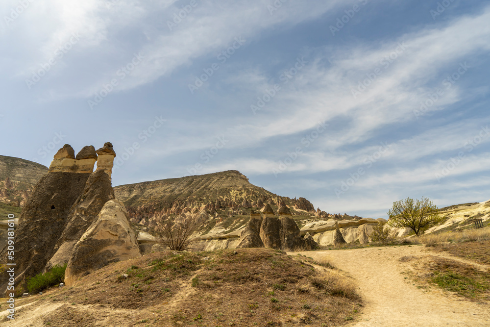 Fototapeta premium Pasabag Monks Valley with Fairy Chimneys and Mushroom Rock. Goreme national park, Nevsehir, Cappadocia, Turkey. World Heritage by UNESCO.
