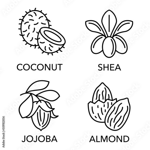 Essential oils set of icons in thin line