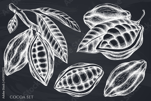 Vector set of hand drawn chalk cocoa