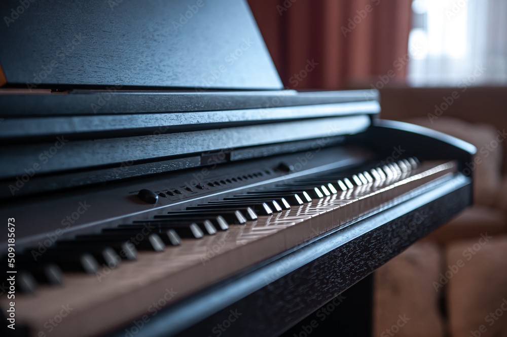 Close-up, keys of an electronic piano on a blurred background. Close-up, keys of an electronic piano on a blurred background.