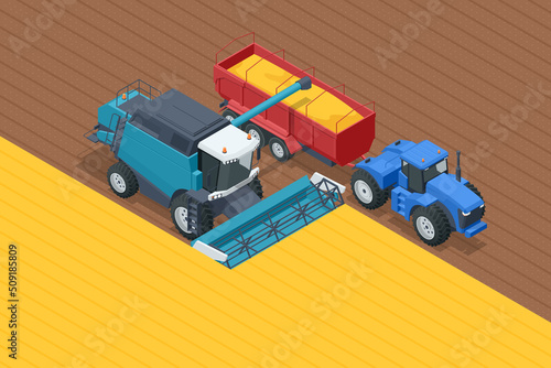 Grain harvesting combine. Combine harvester harvests ripe wheat. Agriculture concept. Reaping, threshing, gathering, and winnowing