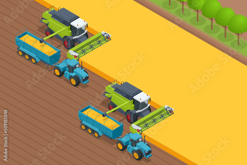 Grain harvesting combine. Combine harvester harvests ripe wheat. Agriculture concept. Reaping, threshing, gathering, and winnowing