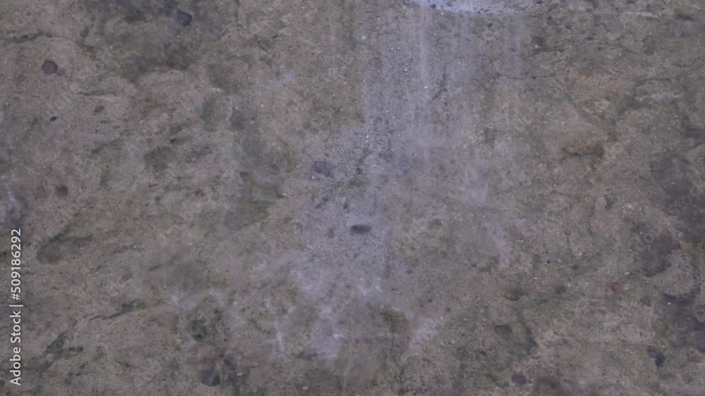 Rain water pours onto the concrete base. Shower. Falling drops. The season is summer. Tropical climate. Precipitation in the form of rain. Close-up. Rain water pours onto the concrete base. Shower. Falling drops. The season is summer. Tropical climate. Precipitation in the form of rain. Close-up.