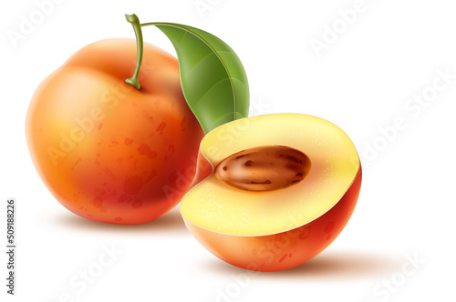 Realistic fruit. Juicy fresh whole or half peaches. Summer vitamin food. Natural ingredient. Organic crop. Healthy product. Vegetarian meal. Vector appetizing pieces with leaf and seed