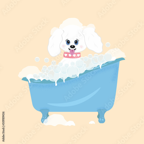 Cartoon character cute white dog poodle sitting in the bathtub blue with soap scum and soap .bubbles,funny puppy isolated on beige background. Vector illustration in flat style.