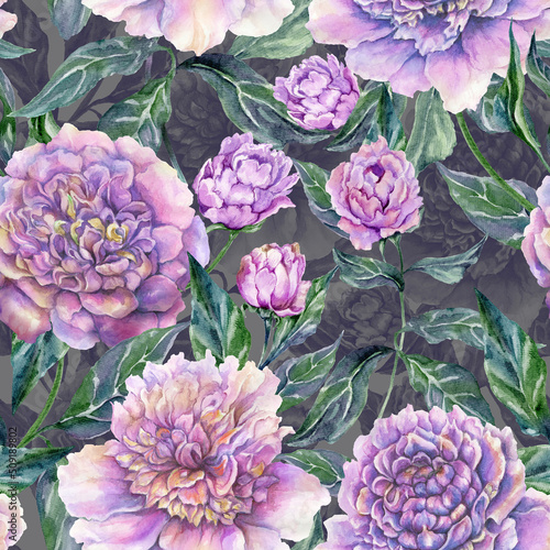 Beautiful purple peony flowers with green leaves on gray background. Seamless floral pattern. Watercolor painting. Hand drawn illustration.