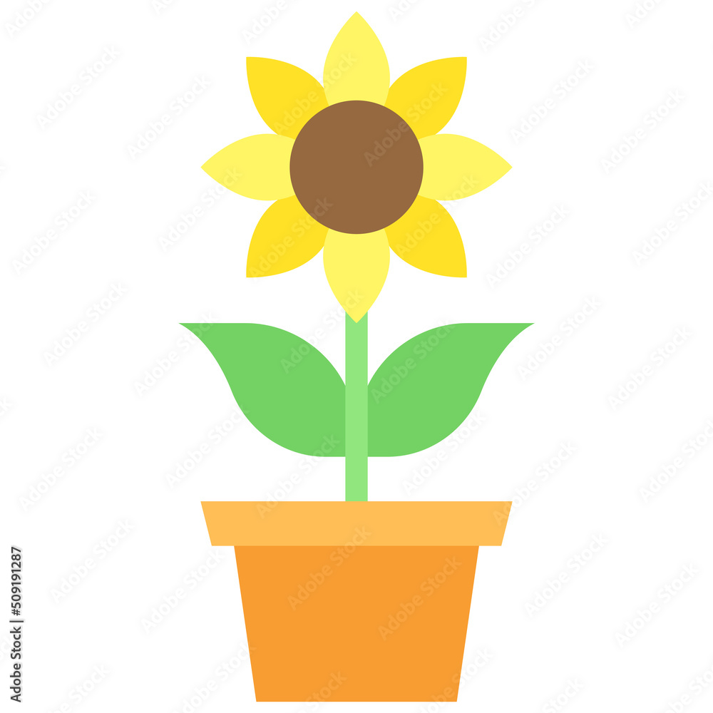 Obraz premium Sunflower icon, Festa junina related vector