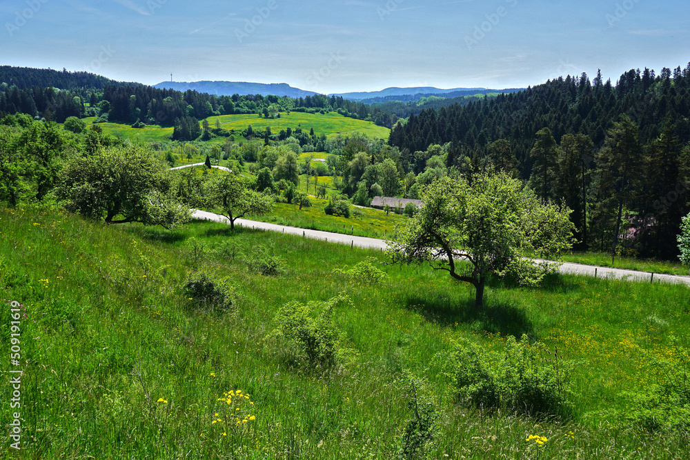 Landschaft bei Rosenfeld-Leidringen im Schlichemtal, Baden Württemberg, Deutschland