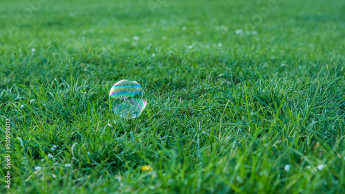 Rainbow soap bubbles on green grass.