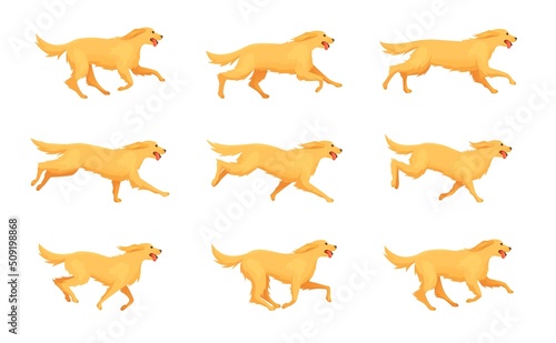 Retriever running animation. Cartoon dog run, motion sequence step 2d character pet, animals doggy poses in movement, running and jumping puppy, exact isolated vector illustration