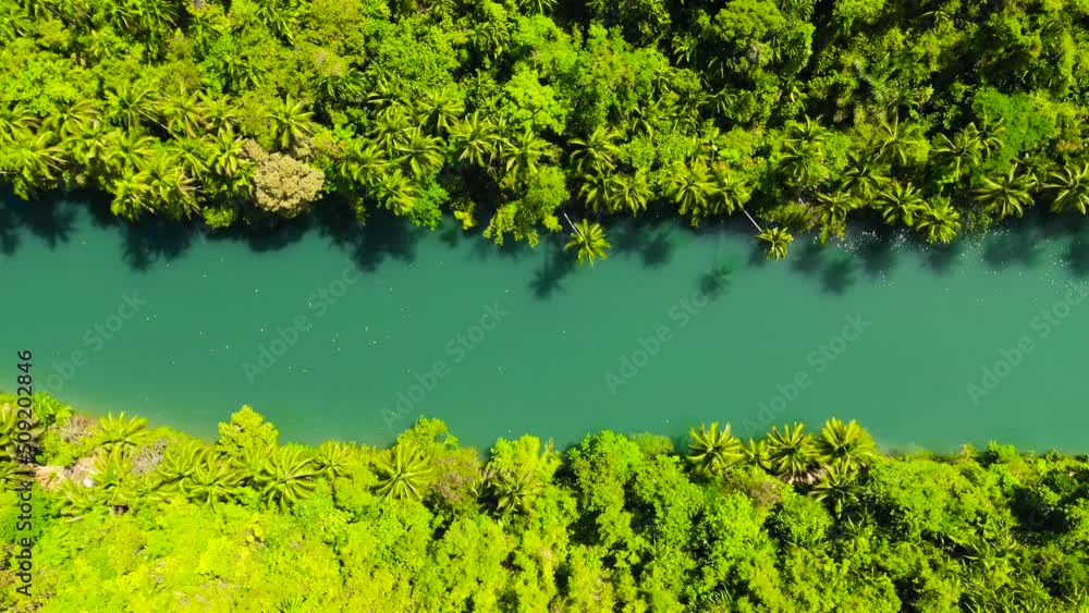 River in the rainforest in a mountain canyon. Loboc River in the green jungle. Bohol, Philippines. River in the rainforest in a mountain canyon. Loboc River in the green jungle. Bohol, Philippines.